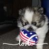 darlene_helen